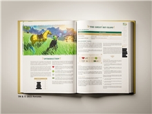 The Legend of Zelda: Tears of the Kingdom Guidebook (Collector Edition)