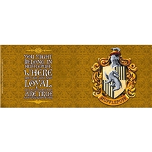 Hrnek Harry Potter - Mrzimor (460 ml)