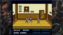 Double Dragon Collection (SWITCH)