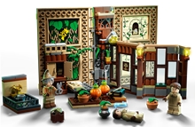 LEGO® Harry Potter™ 76384 Hogwarts Moment: Herbology Class