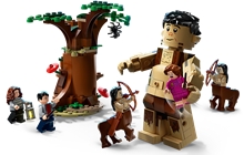 LEGO® Harry Potter™ 75967: Zapovězený les: Setkání Drápa a profesorky Umbridgeové