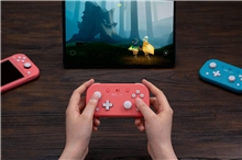 8BitDo Lite 2 BT Gamepad - Pink (SWITCH)