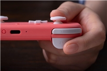 8BitDo Lite 2 BT Gamepad - Pink (SWITCH)