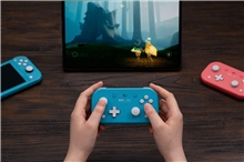 8BitDo Lite 2 BT Gamepad - Turquoise (SWITCH)