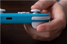 8BitDo Lite 2 BT Gamepad - Turquoise (SWITCH)