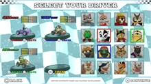 Animal Kart Racer Bundle (Code in a box) (SWITCH)