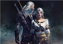 Puzzle: The Witcher