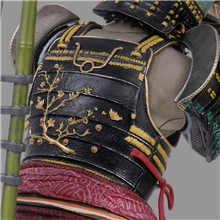Assassins Creed Shadows - Collectors Edition (XSX)