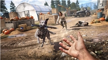 Far Cry 5 (PS4)