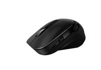 ASUS MD300 Ergonomic optical mouse, wireless, black
