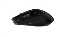 ASUS MD300 Ergonomic optical mouse, wireless, black