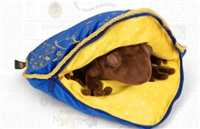 Harry Potter Chocolate Frog Cushion and Plush