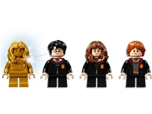 LEGO® Harry Potter™ 76387: Hogwarts: Fluffy Encounter