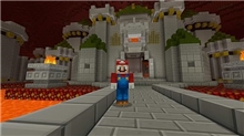 Minecraft with Super Mario Mash-up (SWITCH)