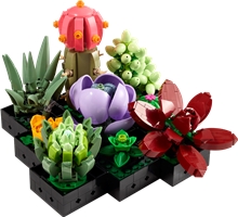 LEGO® Botanicals 10309: Succulents