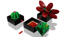 LEGO® Botanicals 10309: Succulents