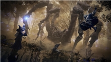 Elden Ring Nightreign (X1/XSX)