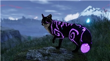 Spirit of the North 2 (PC)