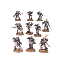 Warhammer 40.000: Champions of Slaanesh - Emperors Children Army Set