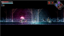 Lost Ruins (SWITCH)