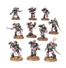 Warhammer 40.000: Emperors Children Tormentors