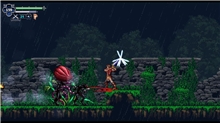 Chronicles of the Wolf (SWITCH)
