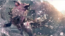 Wild Hearts S (Game-Key Card) (SWITCH 2)