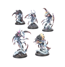 Warhammer 40,000 Kill Team: Typhon