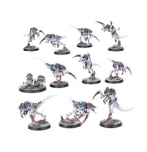 Warhammer 40,000 Kill Team: Typhon