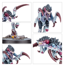 Warhammer 40,000 Kill Team: Typhon