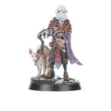 Warhammer: Age of Sigmar: Saviours of Cinderfall