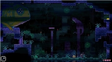 Animal Well (SWITCH)