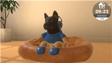 Little Friends: Dogs and Cats (Code in a Box) (SWITCH)