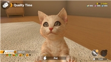 Little Friends: Dogs and Cats (Code in a Box) (SWITCH)