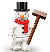 LEGO® Minifigures 71036 23. series V29