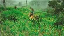 Sacred 2 Remaster (XSX)