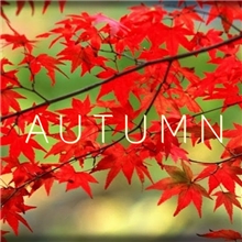 Autumn (Voucher - Kód na stiahnutie) (PC)