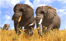 Wildlife Park 3 (Voucher - Kód ke stažení) (PC)