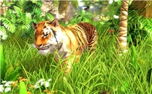 Wildlife Park 3 (Voucher - Kód na stiahnutie) (PC)