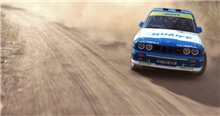 DiRT Rally (Voucher - Kód ke stažení) (PC)