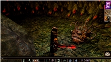 Neverwinter Nights: Enhanced Edition (Voucher - Kód ke stažení) (PC)