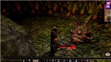 Neverwinter Nights: Enhanced Edition (Voucher - Kód ke stažení) (PC)