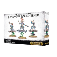 Warhammer: Age of Sigmar - Tzeentch Arcanites: Tzaangor Enlightened