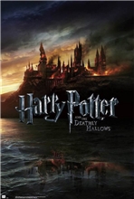 Plakát Star Harry Potter: Deathly Hollows (61 x 91,5 cm) 150g