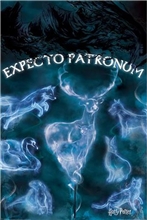 Plakát Harry Potter: Patronus (61 x 91,5 cm)