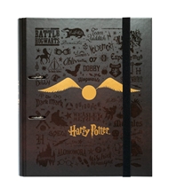 Kroužkový pořadač Premium Harry Potter: Zlatonka (28 x 32 x 7 cm)
