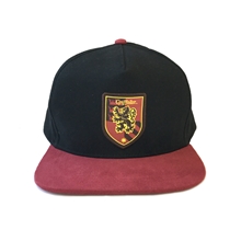 Čepice - kšiltovka snapback Harry Potter: Erb Nebelvíru - House Gryffindor (nastavitelná)