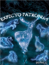 Obraz Harry Potter - Expecto Patronum