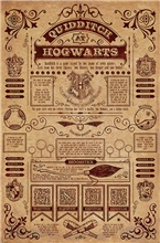 Plakát Harry Potter: Quidditch At Hogwarts (61 x 91,5 cm)