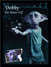 Obrázek v rámečku Harry Potter: Dobby (30 x 40 cm)